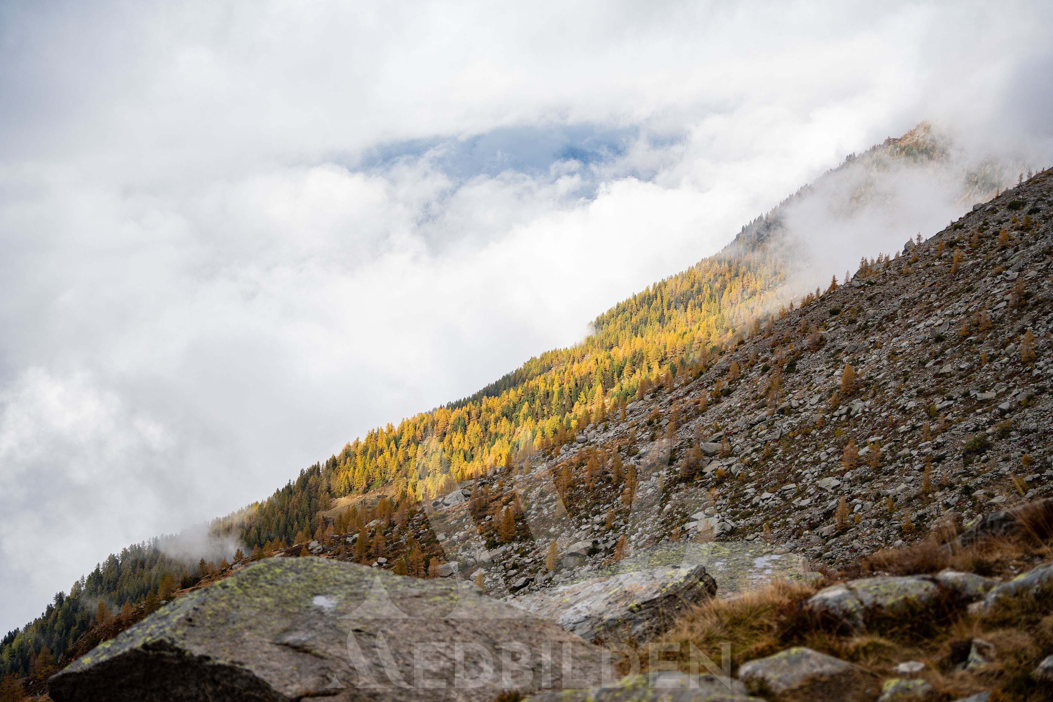 View from Mont Blanc
